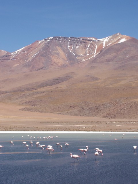 p1010268.jpg