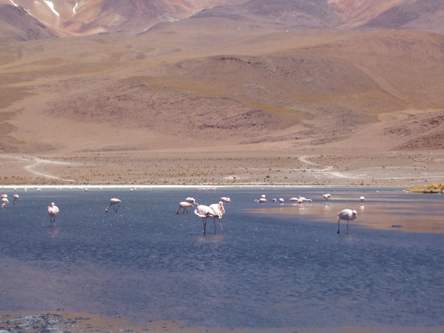 p1010269.jpg