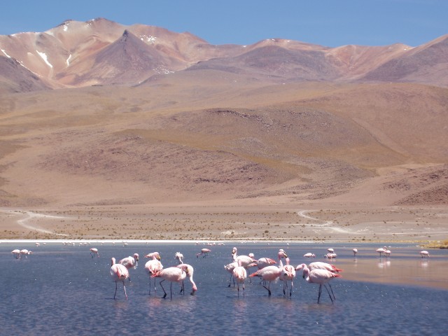 p1010272.jpg