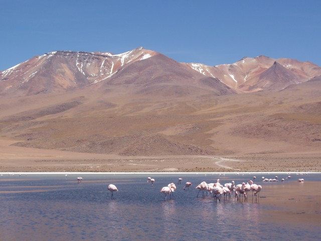 p1010274.jpg