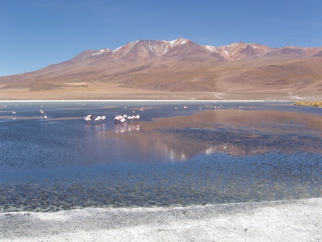 p1010275.jpg