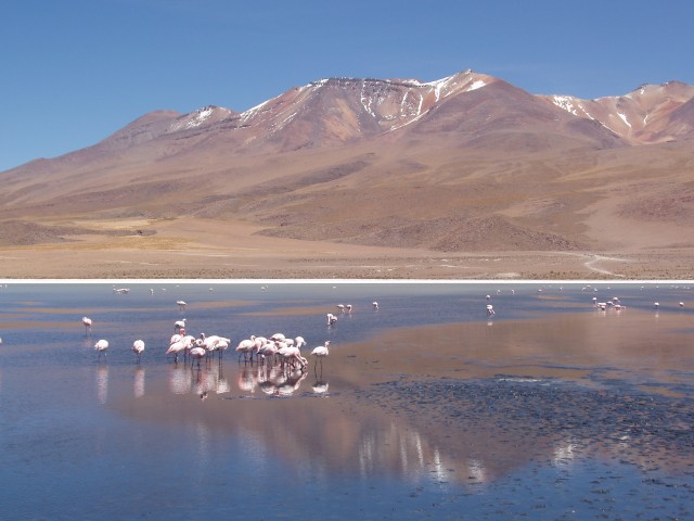 p1010276.jpg