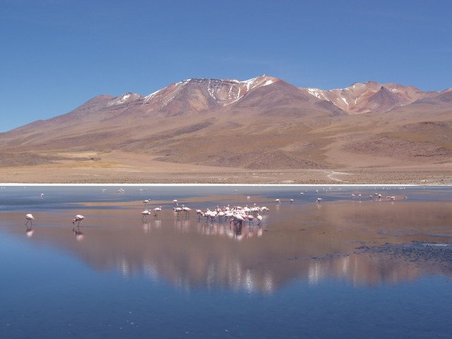 p1010278.jpg