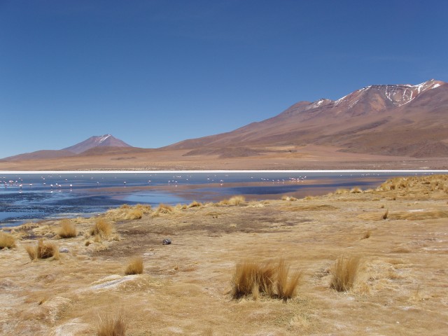 p1010279.jpg
