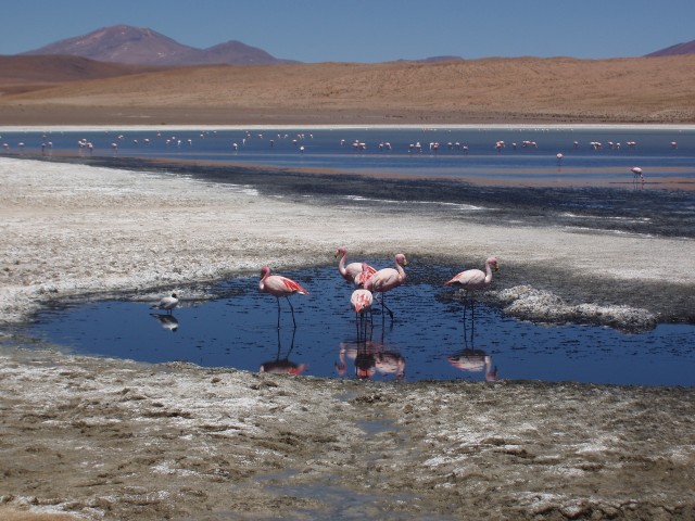 p1010283.jpg