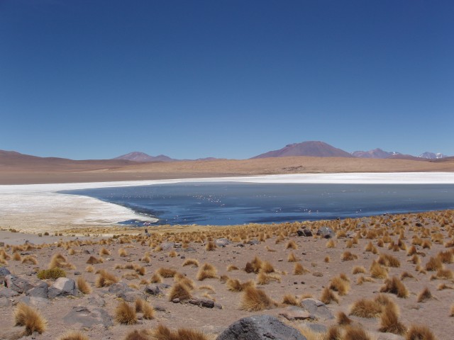 p1010285.jpg