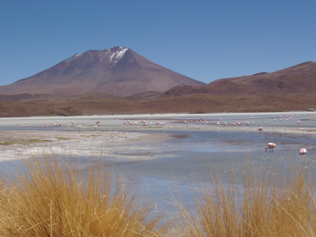 p1010288.jpg
