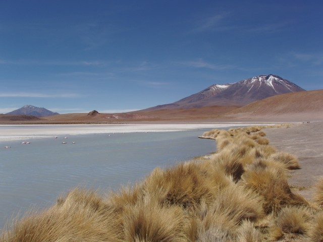 p1010290.jpg