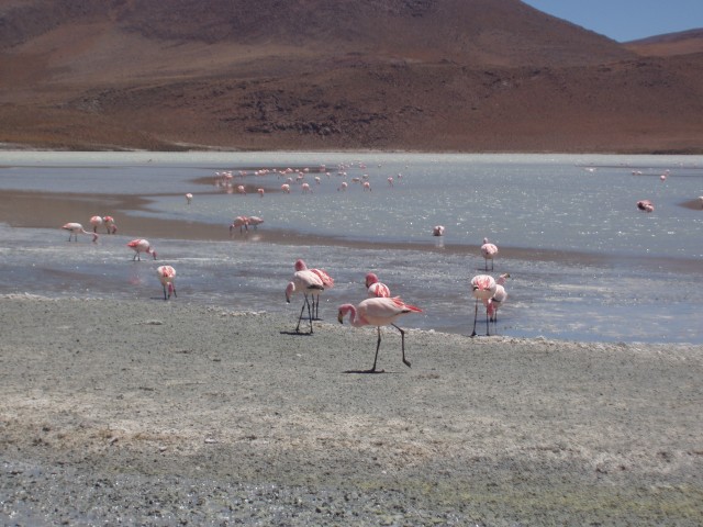 p1010291.jpg