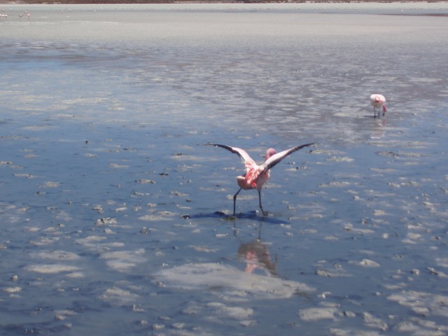 p1010293.jpg
