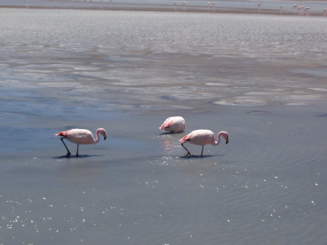p1010294.jpg
