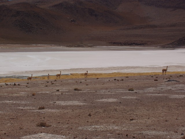 p1010299.jpg