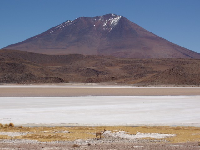 p1010300.jpg