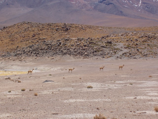 p1010301.jpg