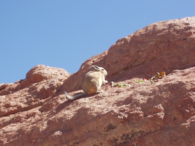 p1010314.jpg