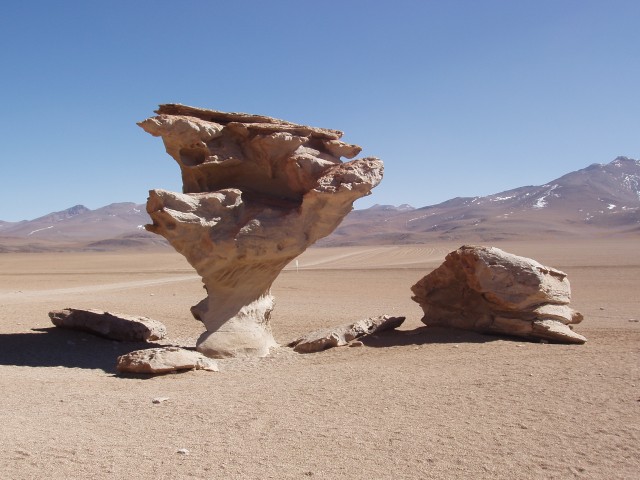 p1010317.jpg