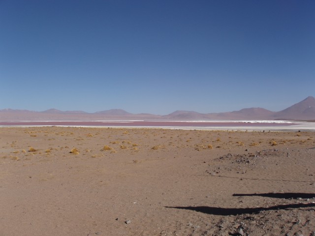 p1010325.jpg