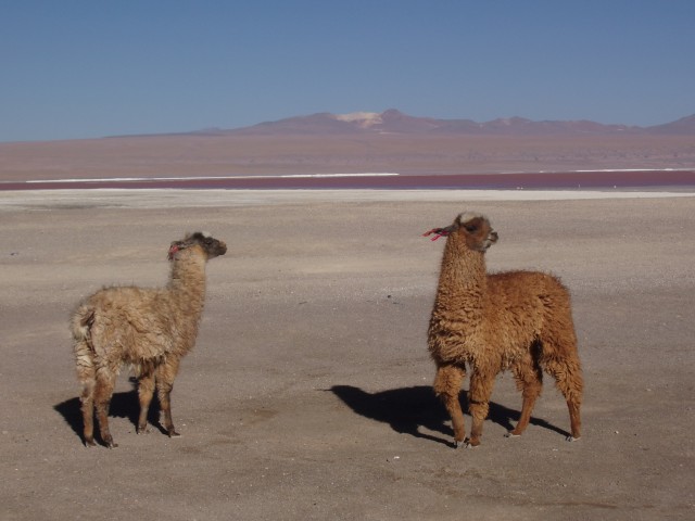 p1010327.jpg