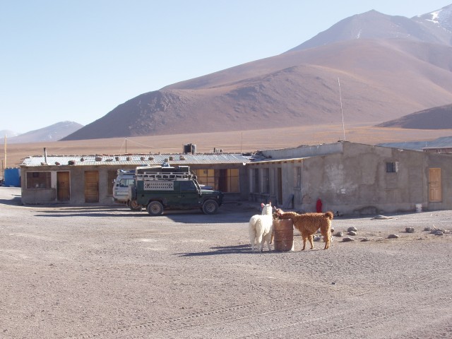 p1010329.jpg