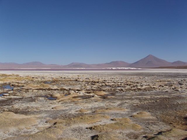 p1010330.jpg