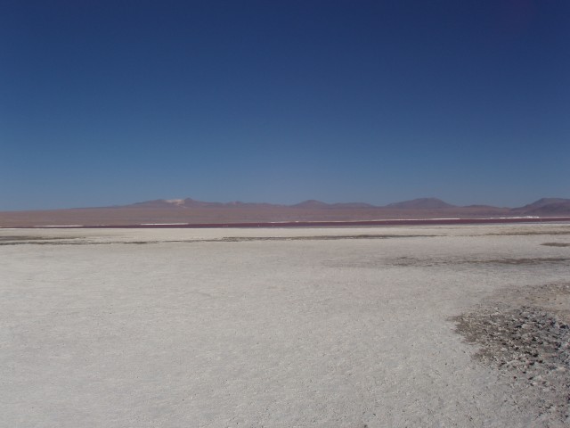 p1010333.jpg