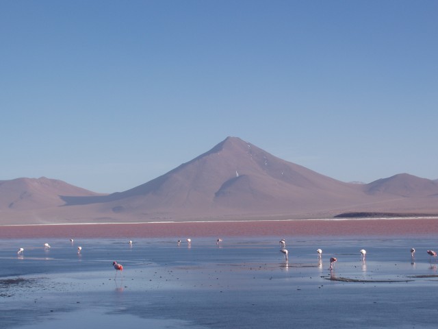 p1010335.jpg