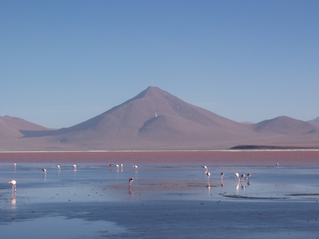 p1010336.jpg