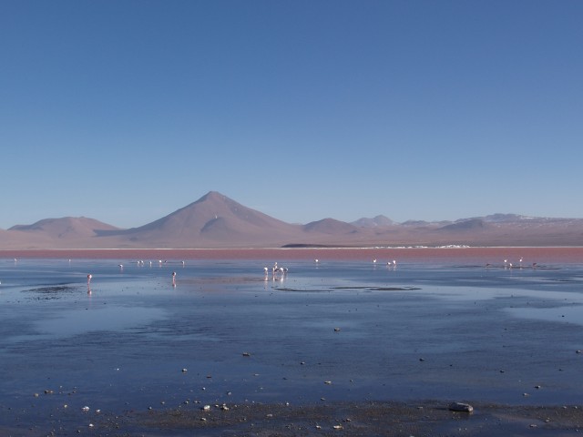 p1010337.jpg