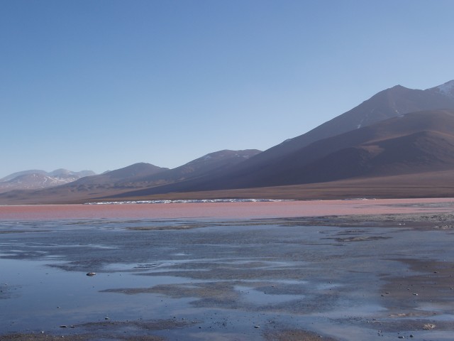 p1010338.jpg