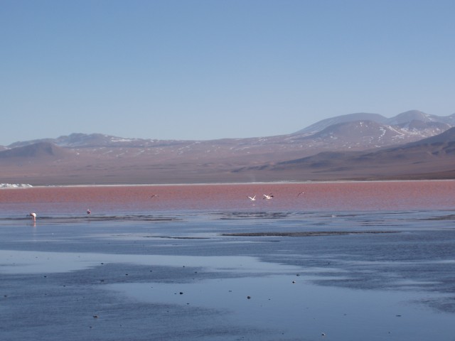 p1010339.jpg