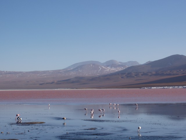 p1010340.jpg