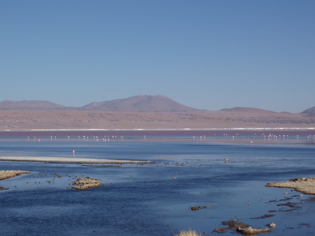 p1010341.jpg