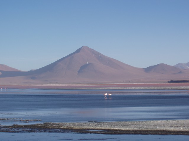 p1010342.jpg