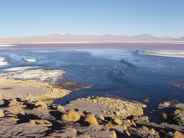 p1010345.jpg