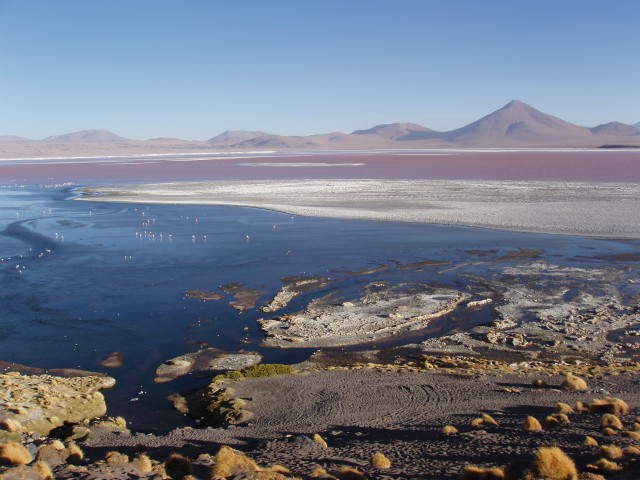 p1010346.jpg