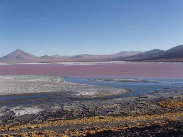 p1010347.jpg