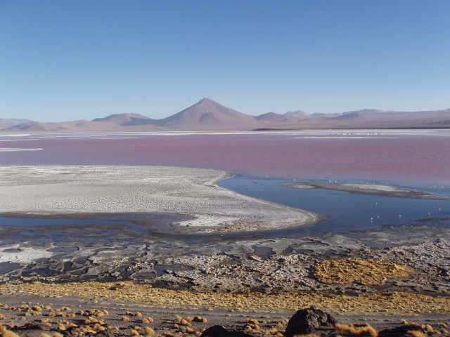 p1010349.jpg