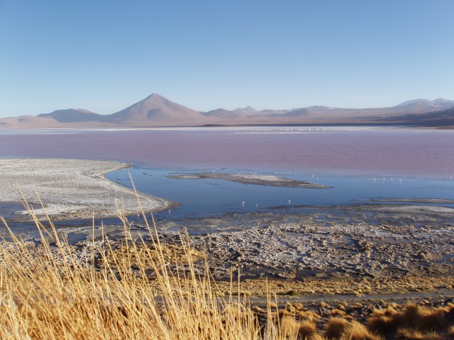 p1010354.jpg