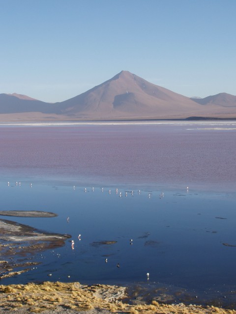 p1010355.jpg