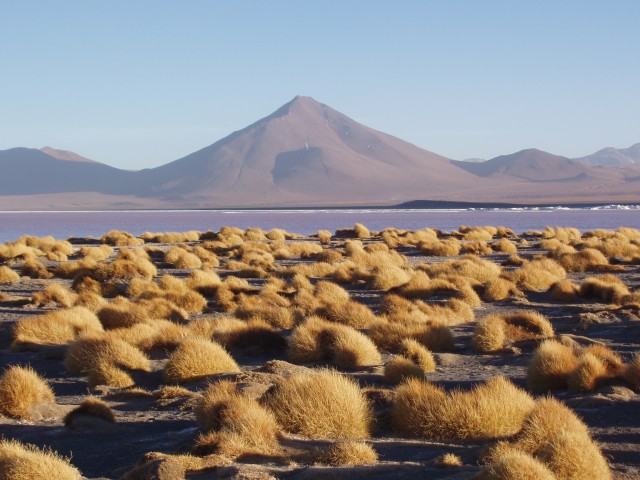 p1010356.jpg