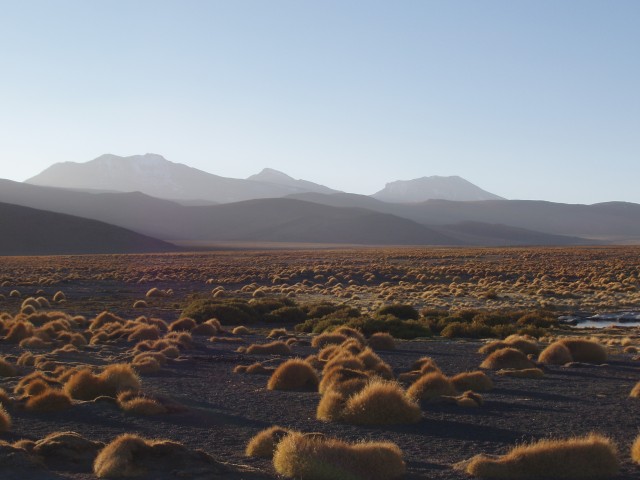 p1010357.jpg