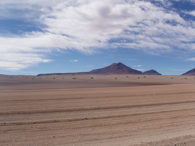p1010385.jpg