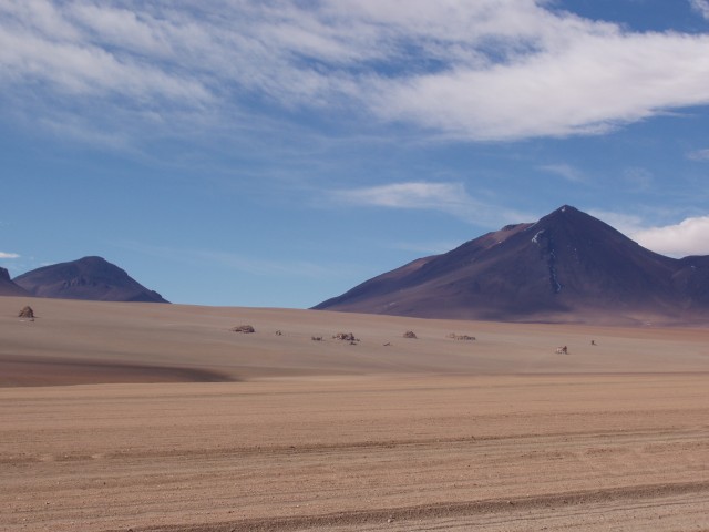 p1010386.jpg