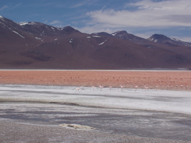 p1010407.jpg