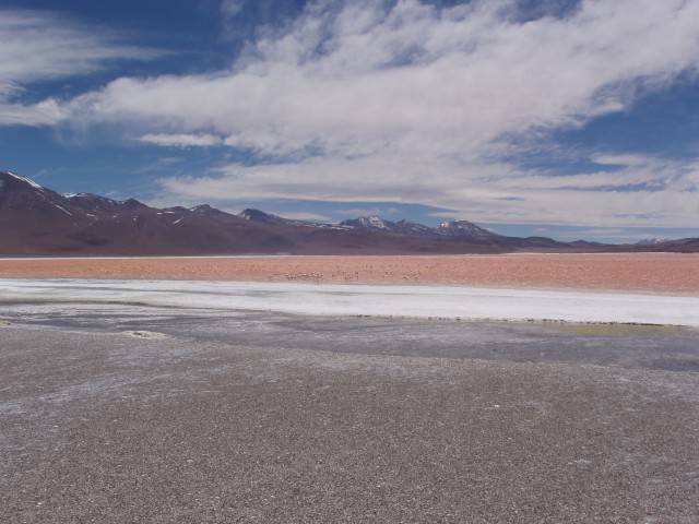 p1010409.jpg
