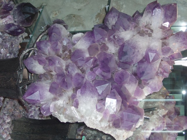 p1010089.jpg