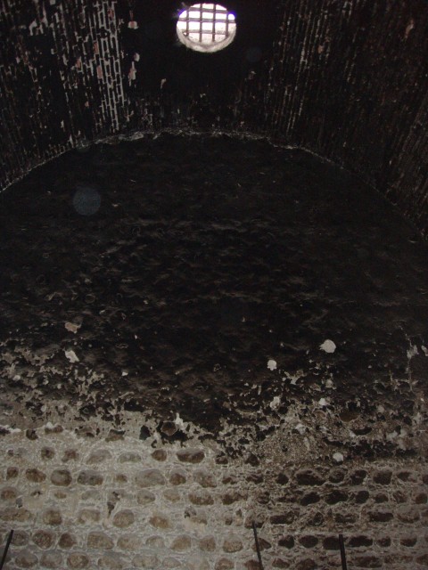 p1010092.jpg