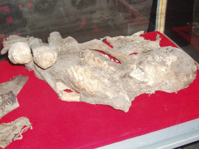 p1010097.jpg