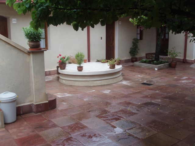 p1010112.jpg