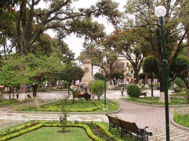 p1010119.jpg